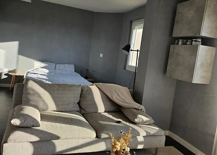 Apartament Et Equipe Avec Vue Sur Le Bassin Vichyssois Vichy